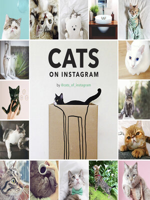 cover image of Cats on Instagram